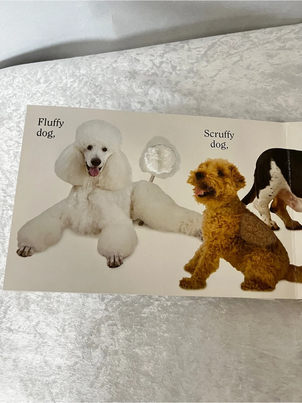 Dog Book by Matthew Van Fleet Doggone Fun for Little Ones kids